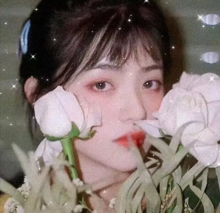 戴洛奇小镇第一季
